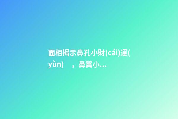 面相揭示鼻孔小財(cái)運(yùn)，鼻翼小財(cái)運(yùn)